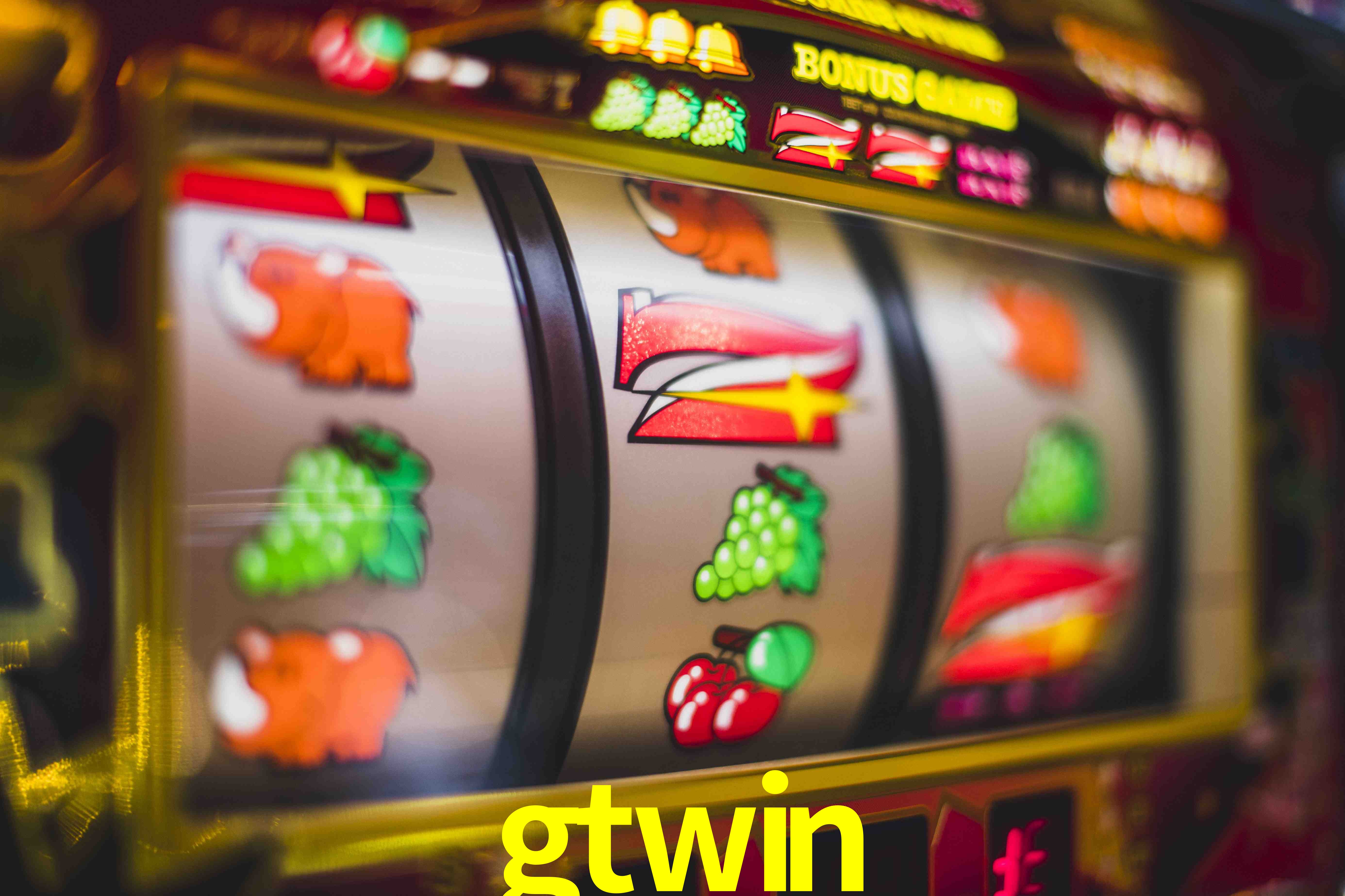 Experiência VIP gtwin